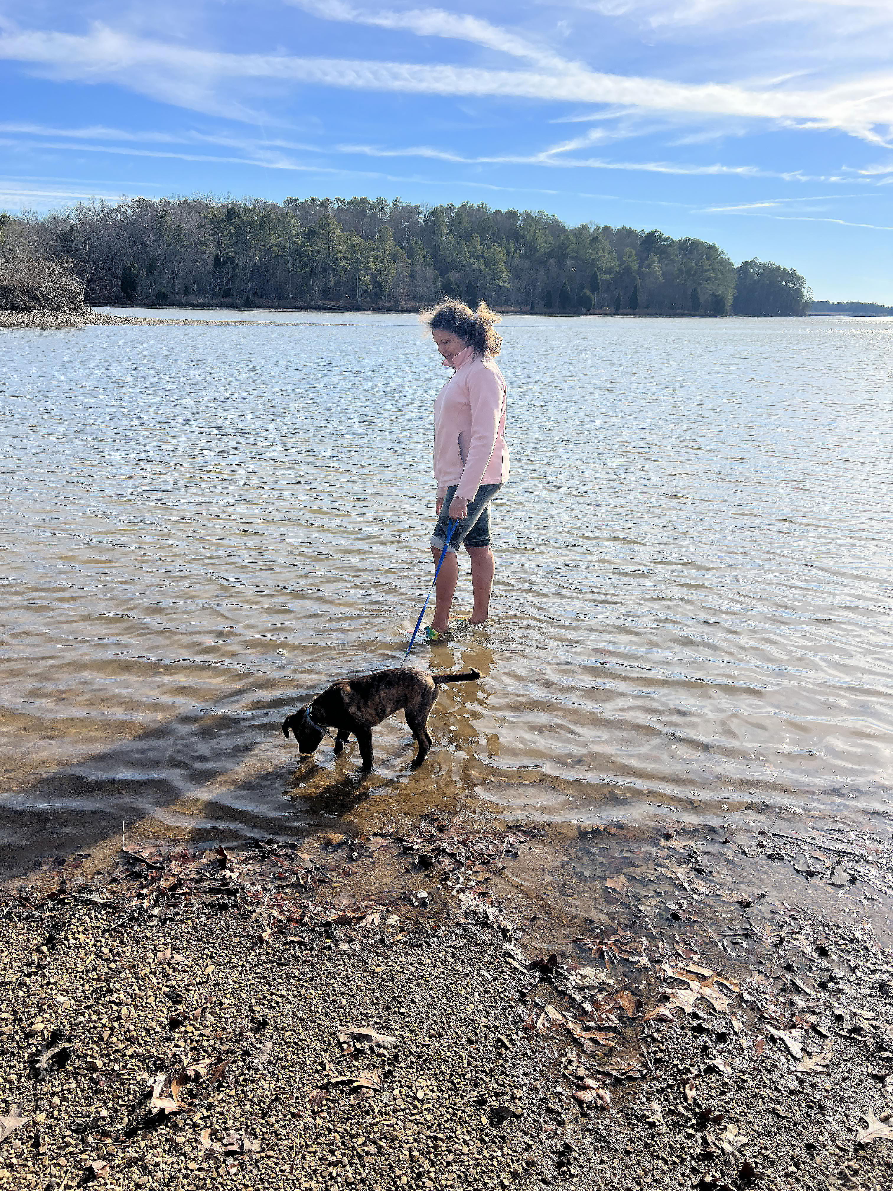 leesburg landing al beach gabe zee.jpg